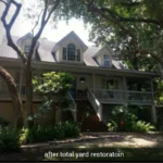 Elvis Tree Climber Extraordinaire Coupons Gallery Image