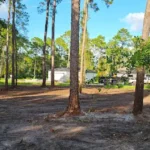 Powell Environmental Service Coupons Gallery Image