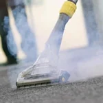 Budget Steemer Coupons Gallery Image