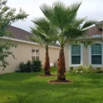 Southern Cuts Tree Service Coupons Gallery Image